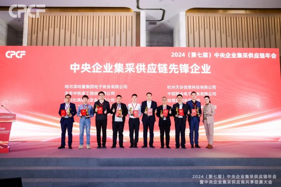 喜报！彩霸王官网荣获2024年度（CPCF）中央企业集采供应链年会先锋企业荣誉称号